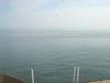 DSC07386.jpg