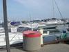 DSC07397.jpg