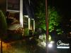 DSC07422.jpg