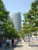 DSC07498.jpg