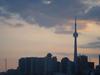DSC07529.jpg