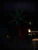DSC07541.jpg