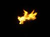 DSC07546.jpg