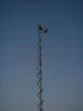 DSC07559.jpg