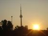 DSC07568.jpg