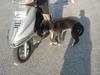 DSC07602.jpg