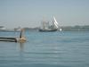 DSC07631.jpg