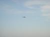 DSC07642.jpg