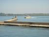 DSC07644.jpg