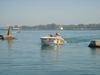 DSC07645.jpg