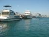 DSC07697.jpg