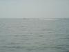 DSC07767.jpg