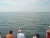 DSC07768.jpg
