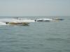 DSC07771.jpg