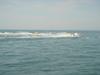 DSC07773.jpg