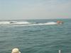 DSC07776.jpg