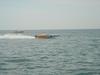 DSC07781.jpg