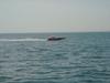 DSC07782.jpg