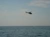 DSC07784.jpg