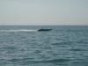 DSC07785.jpg