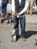 DSC01896.jpg
