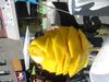 DSC01916.jpg