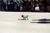 Green-Dog.jpg