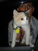 DSC01602.jpg