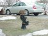 MVC01176.jpg