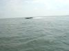 DSC03950.jpg