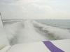 DSC03951.jpg