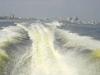 DSC03953.jpg