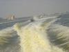 DSC03956.jpg