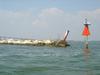 DSC03975.jpg