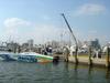 DSC03988.jpg
