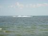 DSC04027.jpg