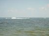 DSC04028.jpg