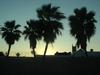 DSC04063.jpg