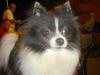 DSC04083.jpg